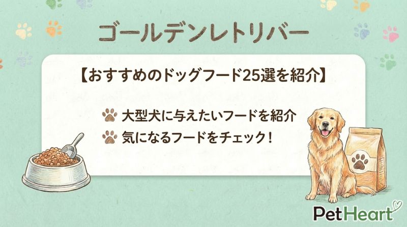 ゴールデンレトリバーにおすすめのドッグフード25選