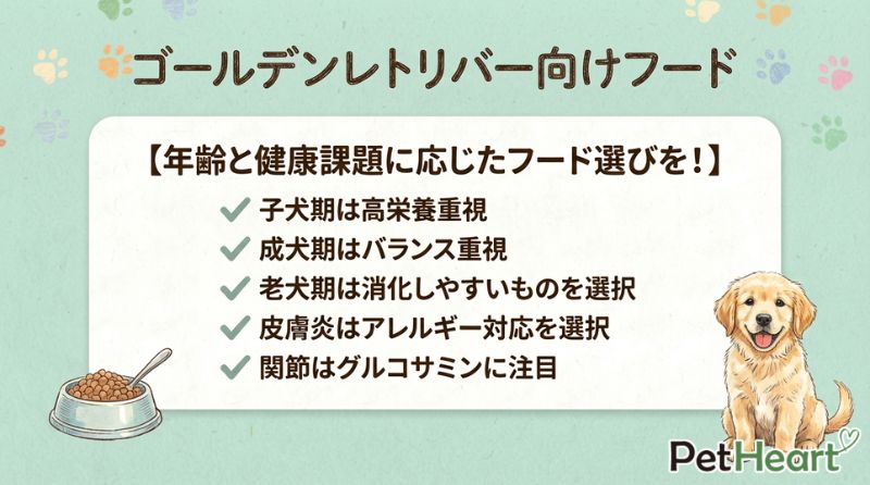 まとめ：ゴールデンレトリバーのドッグフードは年齢と悩みで選ぼう