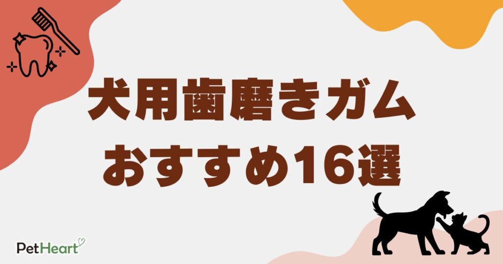 犬 歯磨きガム　アイキャッチ