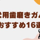 犬 歯磨きガム　アイキャッチ