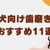 子犬 歯磨き粉　アイキャッチ