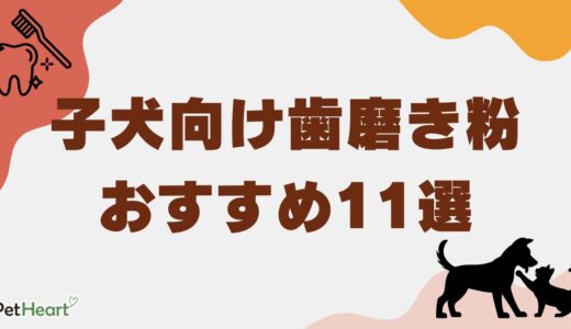 子犬向け歯磨き粉おすすめ11選！頻度・やり方やいつから始めるのかについても解説！