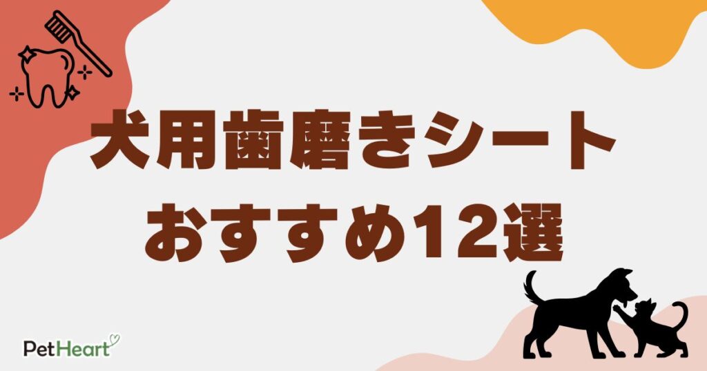 犬 歯磨き シート　アイキャッチ