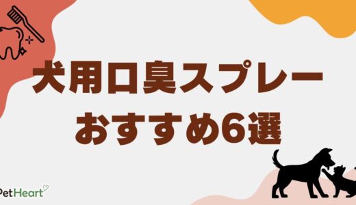 犬用口臭スプレーおすすめ6選！手作り歯磨き粉や口臭を消す方法も解説！