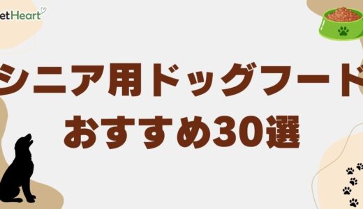 シニア用ドッグフードおすすめ30選！市販の老犬用フードや低脂肪・超小粒も紹介！