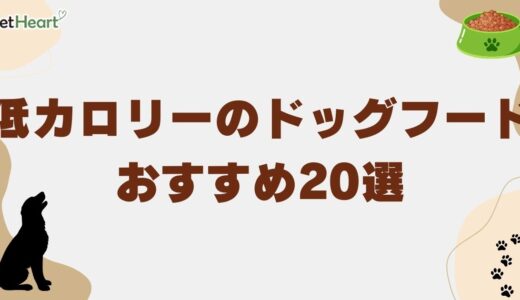 低カロリーのドッグフードおすすめ20選！満腹感を維持できるご飯や無添加フードも