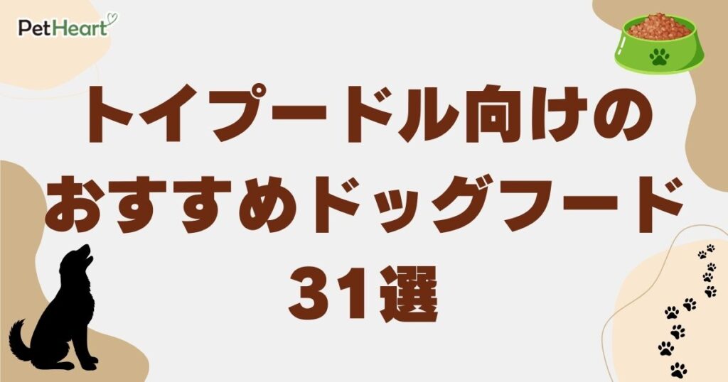トイプードル ドッグフード　アイキャッチ