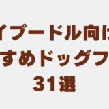 トイプードル ドッグフード　アイキャッチ