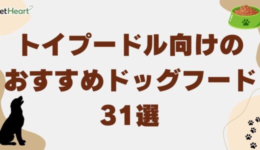 トイプードル向けドッグフードおすすめ31選！ご飯を食べない原因や餌の量も解説