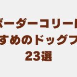 ボーダーコリー ドッグフード　アイキャッチ