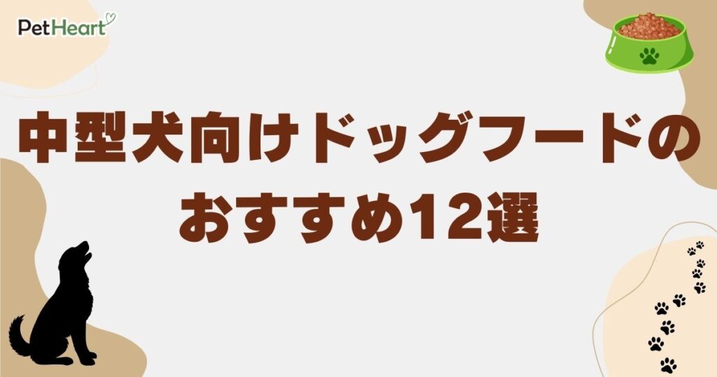 ドッグフード 中型犬　アイキャッチ