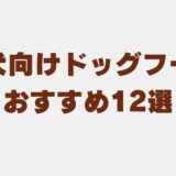 ドッグフード 中型犬　アイキャッチ