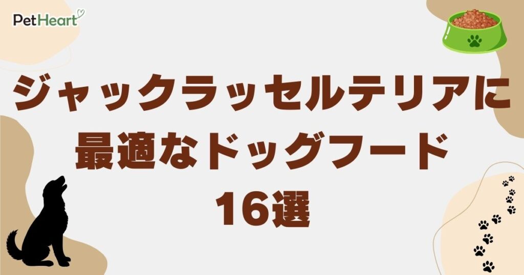 ジャックラッセルテリア ドッグフード　アイキャッチ