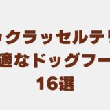ジャックラッセルテリア ドッグフード　アイキャッチ