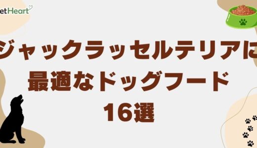 ジャックラッセルテリアに最適なドッグフード16選！エサの量や対策も紹介