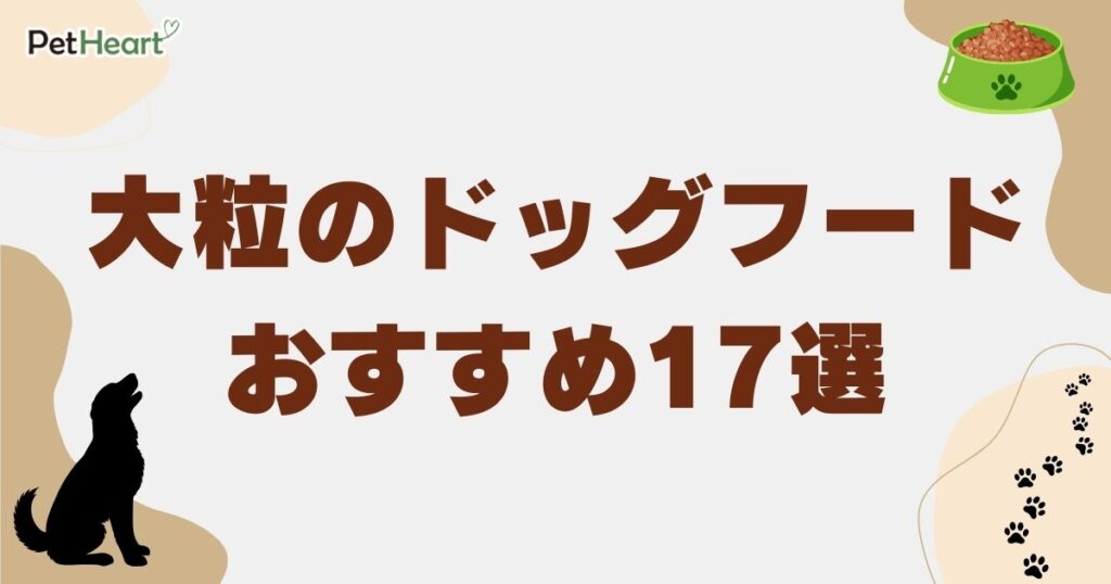 ドッグフード 大粒　アイキャッチ