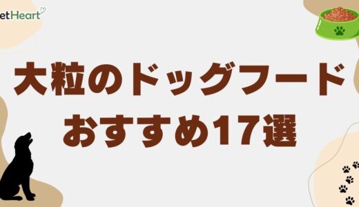 大粒のドッグフードおすすめ17選！粒の大きさまでしっかり比較