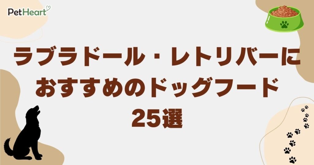 ラブラドール・レトリバー ドッグフード　アイキャッチ
