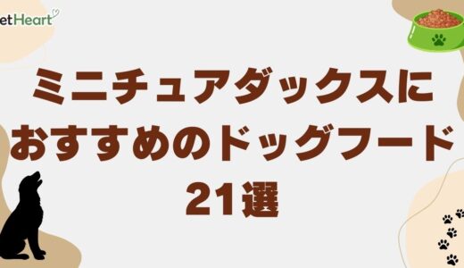 ミニチュアダックス向けドッグフード選びのコツと人気ランキング21選を解説！