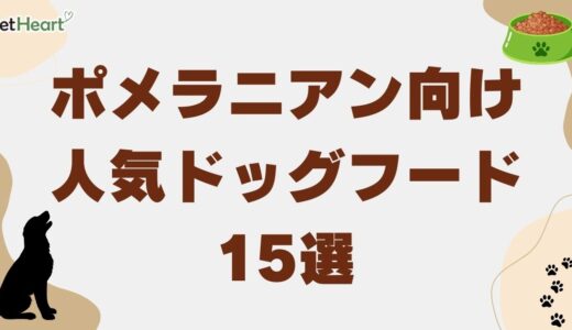 ポメラニアン向け人気ドッグフード15選!食欲がないときの対応策も解説