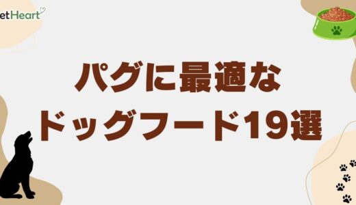 パグに最適なドッグフード19選！選び方と食欲不振対策も解説