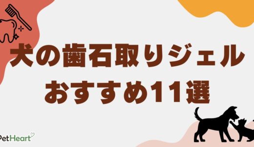 犬の歯石取りジェルおすすめ11選【2025年2月】歯石取りジェルの効果も紹介