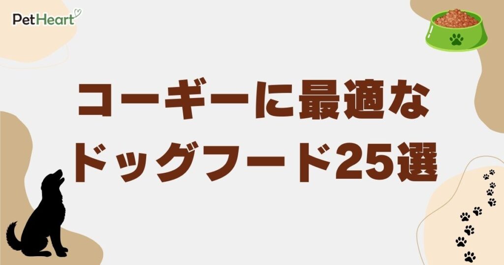 コーギー ドッグフード