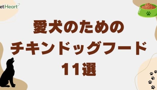 チキンドッグフードおすすめ11選！選び方やアレルギー対策を解説