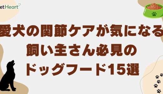 関節ケアに最適なドッグフード15選！シニア犬に特におすすめ紹介