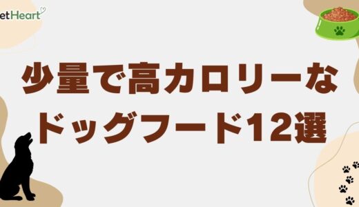少量で高カロリーなドッグフード12選！痩せすぎ犬向け栄養満点フードの選び方