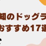 ドッグラン 愛知