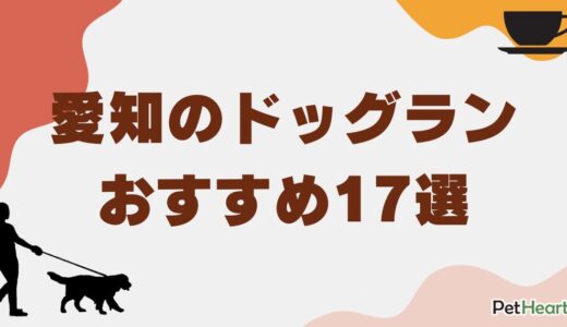 愛知のドッグランおすすめ17選！無料・24時間利用・カフェなどの人気施設まとめ