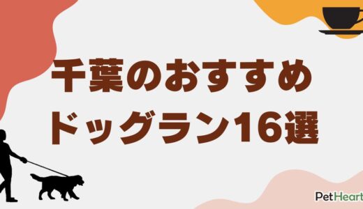 千葉のおすすめドッグラン16選！室内・貸切プランや日本最大級も紹介