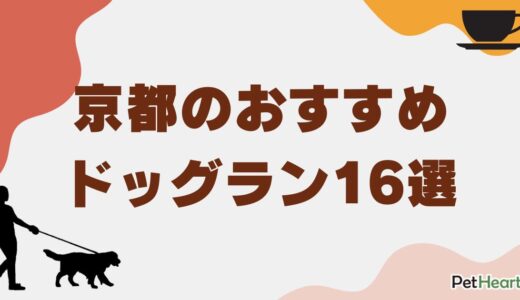 京都のおすすめドッグラン16選！室内やカフェ併設、無料・貸切施設も紹介