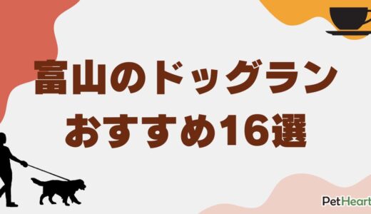 富山のドッグランおすすめ16選！カフェ併設や室内・無料施設も紹介