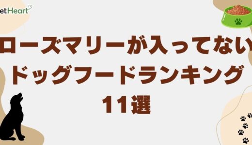 ローズマリーが入ってない無添加ドッグフードおすすめ11選を厳選紹介！
