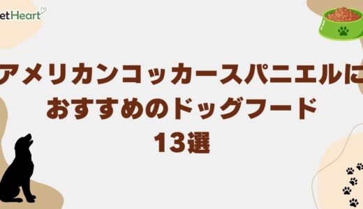 アメリカンコッカースパニエルにおすすめドッグフード13選！給餌量や幼犬用フードも