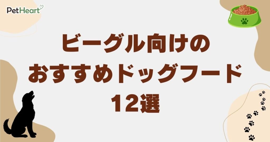 ビーグル ドッグフード　アイキャッチ