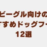 ビーグル ドッグフード　アイキャッチ