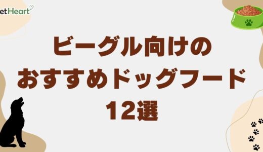 ビーグル専用ドッグフード12選！涙やけ改善策と子犬の適切な給餌量も詳述