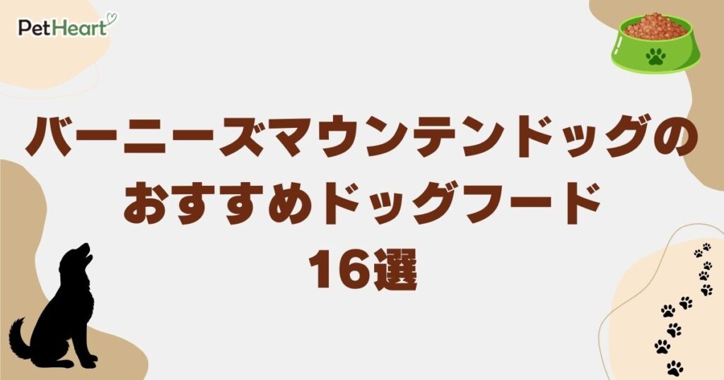 バーニーズマウンテンドッグ ドッグフードアイキャッチ