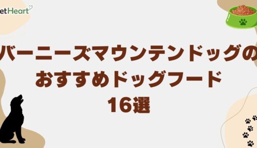 バーニーズマウンテンドッグ用ドッグフード16選！体重管理や給餌量、子犬向けフード