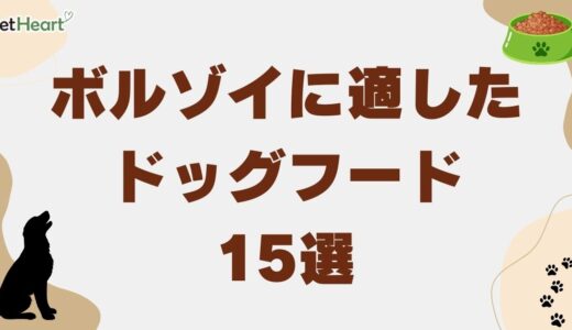ボルゾイ専用ドッグフード15選！適切な給餌量と食欲不振対策も