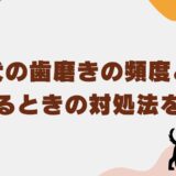 犬歯磨き頻度　アイキャッチ