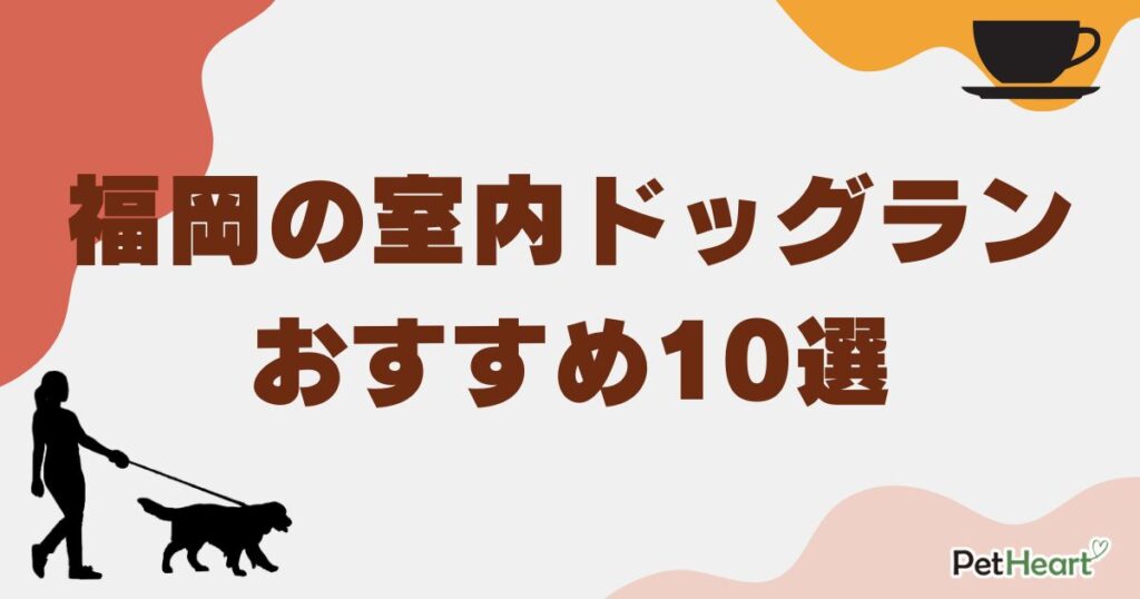 室内ドッグラン 福岡