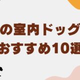室内ドッグラン 福岡