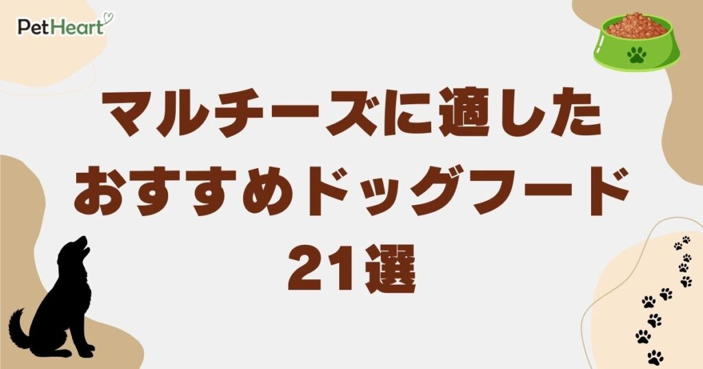 マルチーズ ドッグフード　アイキャッチ