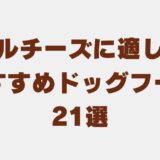 マルチーズ ドッグフード　アイキャッチ