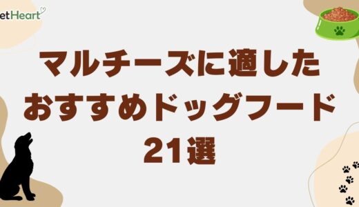 マルチーズに適した人気ドッグフードおすすめ21選！選び方や涙やけ対策の餌も