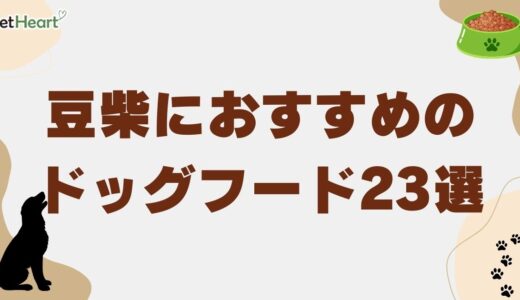 豆柴におすすめのドッグフード23選！選ぶポイントや給餌量は？
